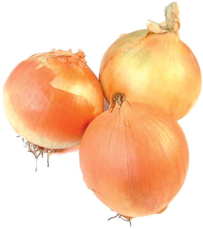 OIGNONS à la pièce