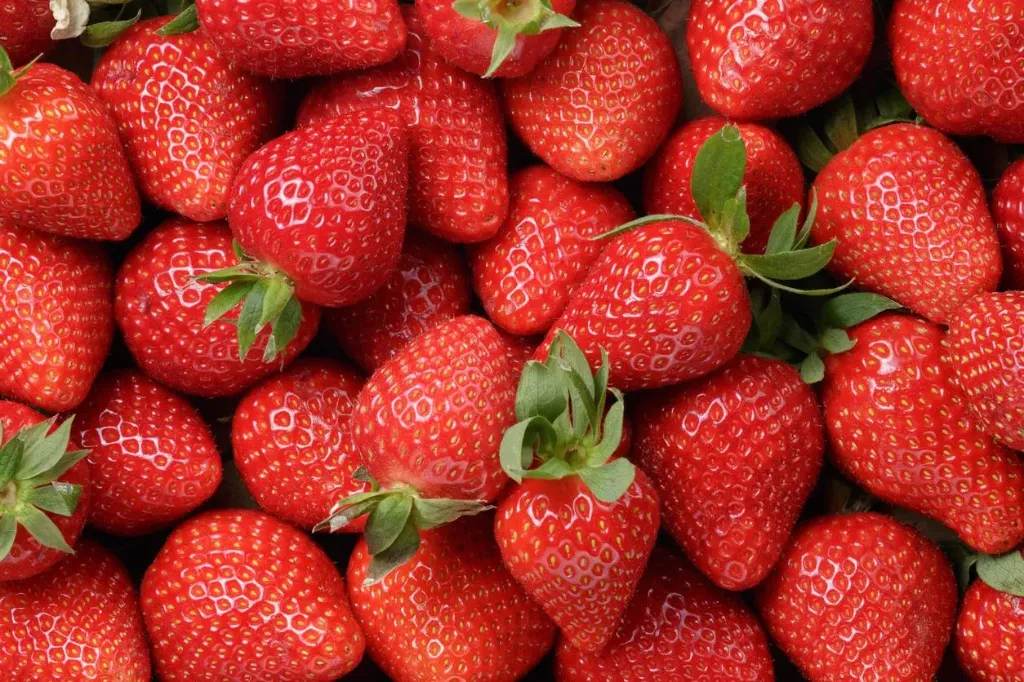 Fraise en barguette